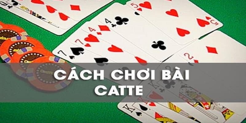 Luật chơi catte: Từ A đến Z cho người mới bắt đầu