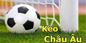 Tổng quan về soi kèo Châu Âu: Từ A đến Z cho người mới bắt đầu