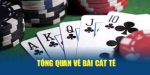 Catte là gì? Tổng quan về trò chơi bài Catte